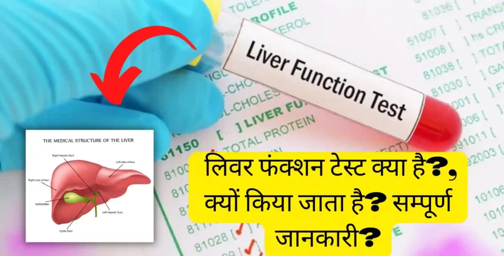 LFT Test in Hindi | लिवर फंक्शन टेस्ट क्या है?, क्यों किया जाता है? और इसका सामान्य स्तर क्या है सम्पूर्ण जानकारी?