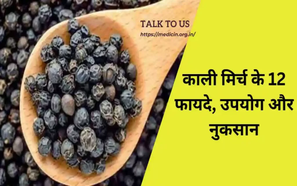 Black Pepper in Hindi : काली मिर्च के हो सकते है 12 फायदे, जानिए उपयोग करने का सही तरीका